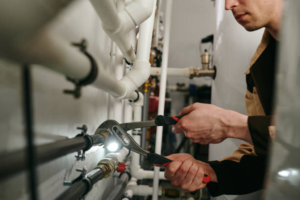 Best Clogged Drain Plumber  in Paxton, IL