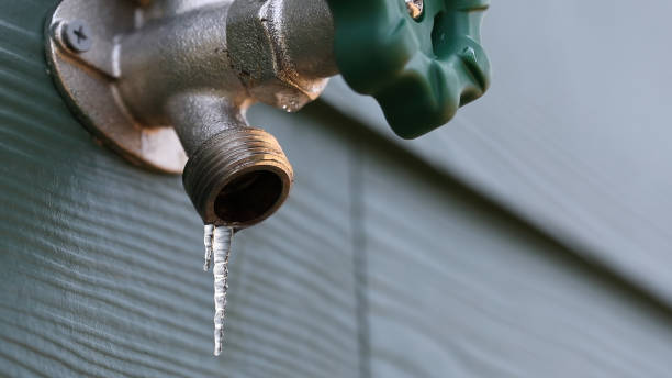 Best Leak Detection Services  in Paxton, IL